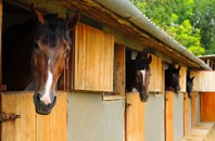 free Wacton Common stable construction quotes